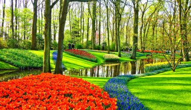 Tulipas de Keukenhof - Holanda - Amsterdã